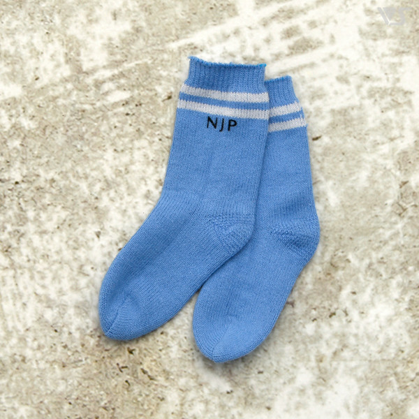 NJP Logo Line Socks (Blue), Volks, Accessories, 4518992433882